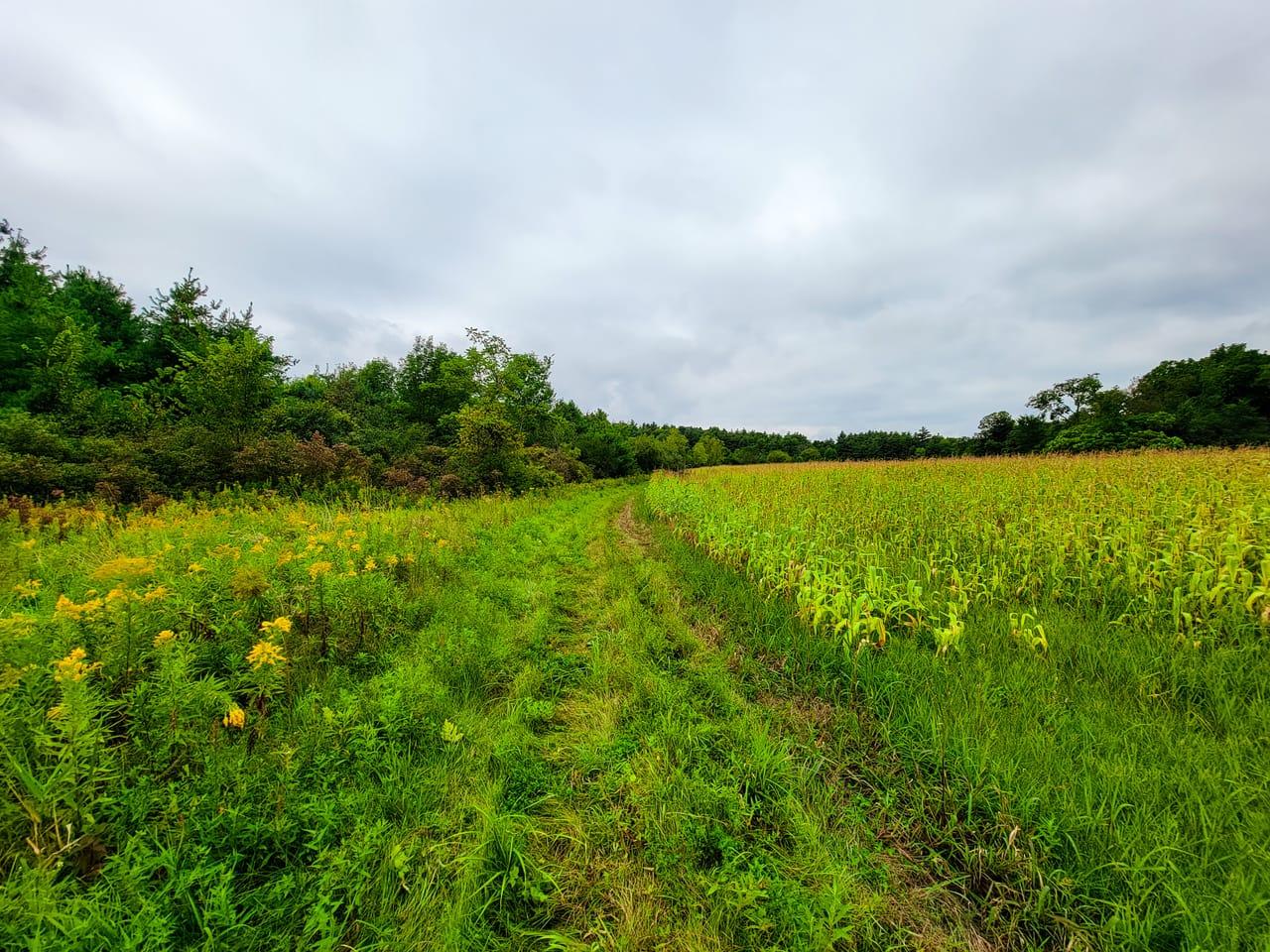 265 Quarry Road Sudbury  05733