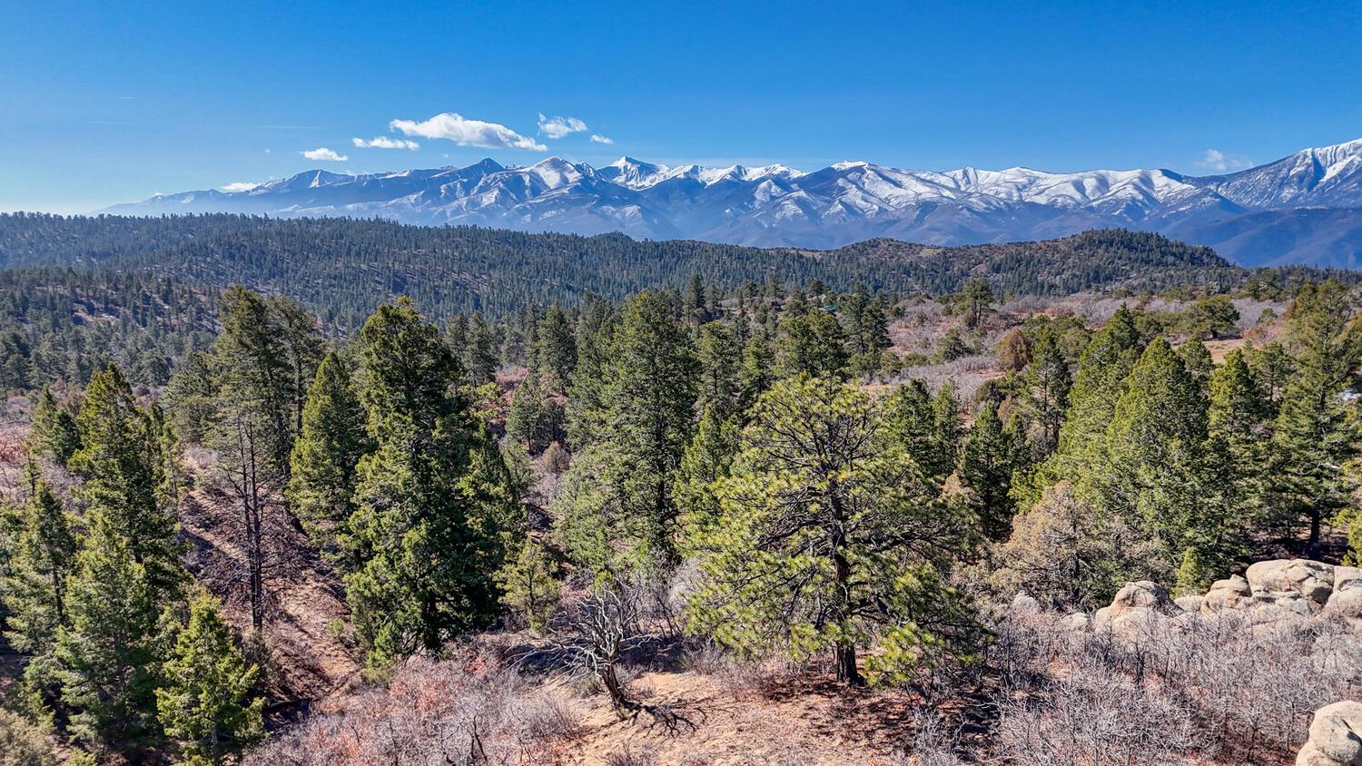 268 Basin Drive Cotopaxi  81223