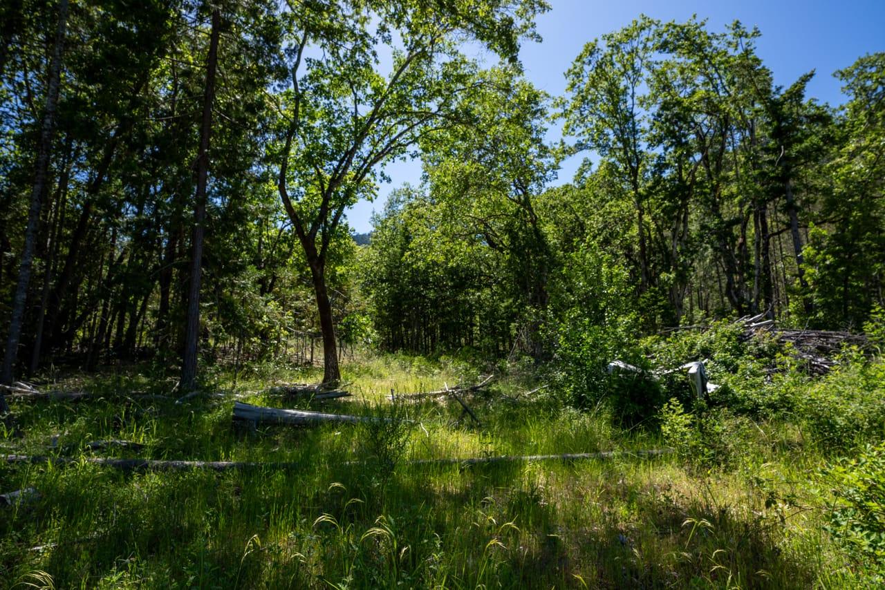 2715 Savage Creek Rd Grants Pass  97527