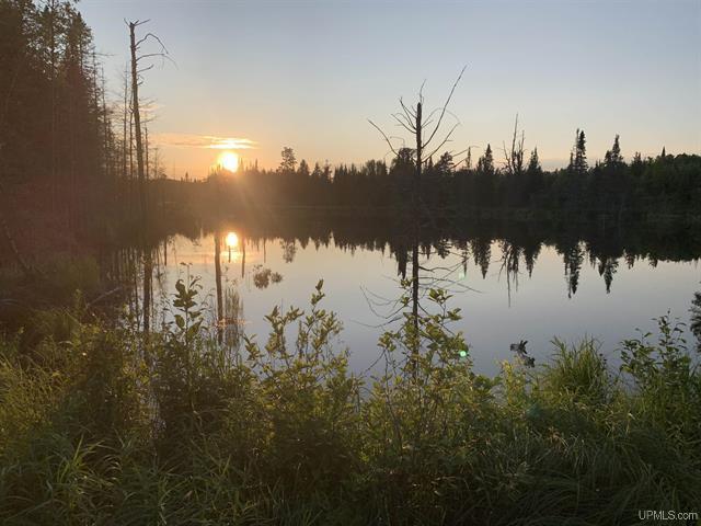 280A Camp One Road Republic MI 49879
