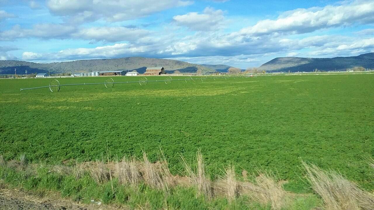 295 Co Rd 149 Lookout CA 96054