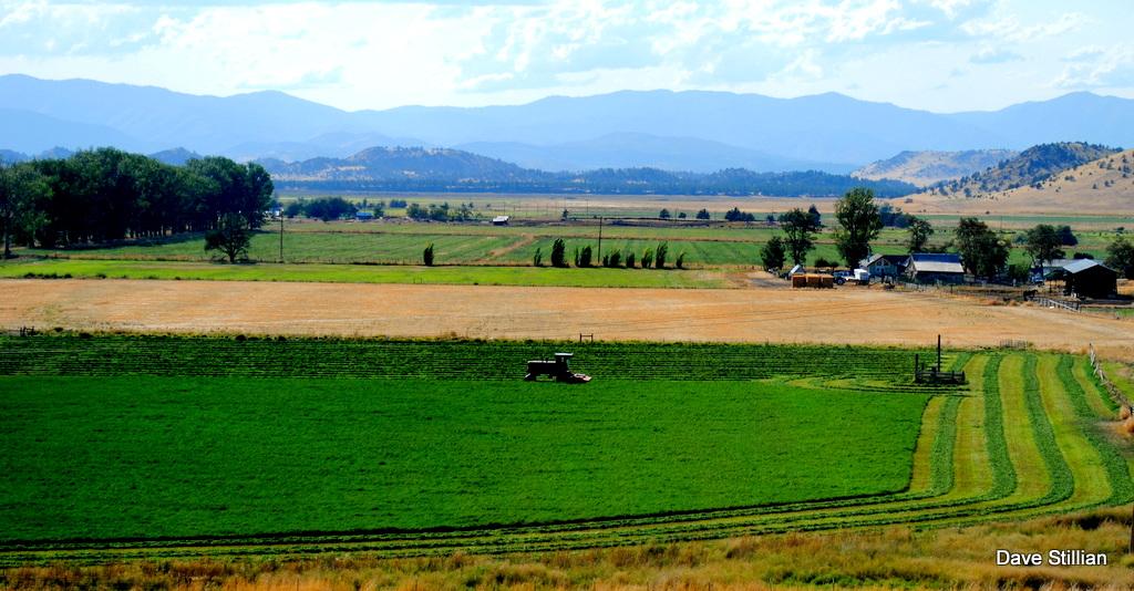3104 Harry Cash Rd. Montague CA 96064 Picture 41.