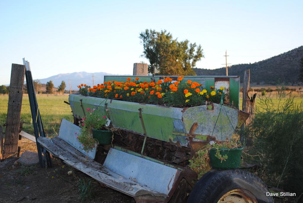 3104 Harry Cash Rd. Montague CA 96064 Picture 47.
