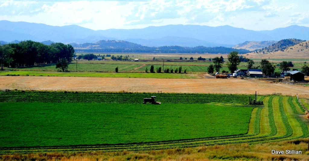 3104 Harry Cash Rd. Montague CA 96064 Picture 92.