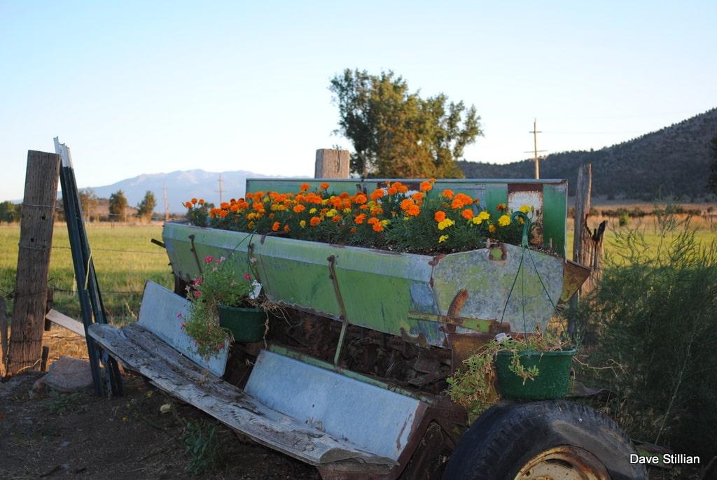 3104 Harry Cash Rd. Montague CA 96064 Picture 97.