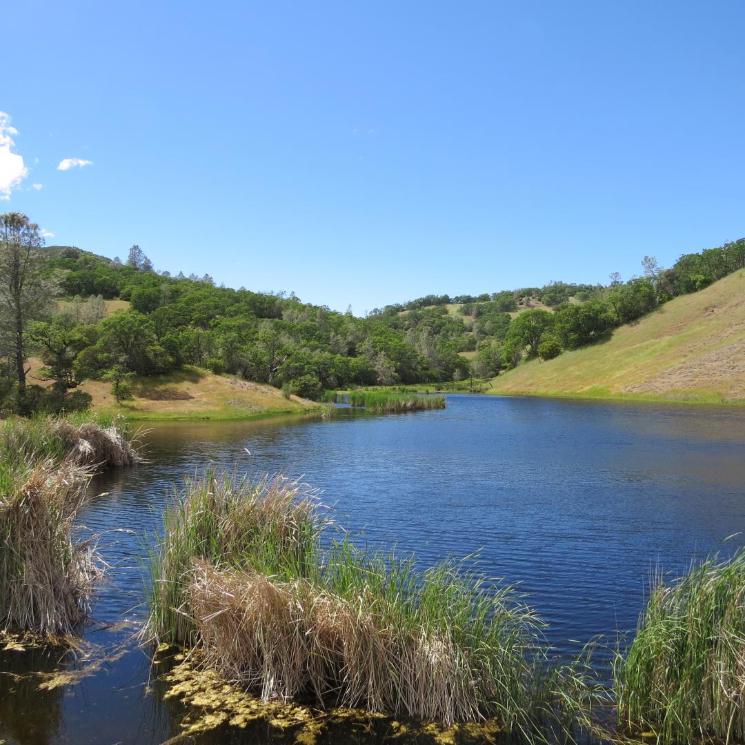 34360 San Antonio Valley Road Livermore CA 94550