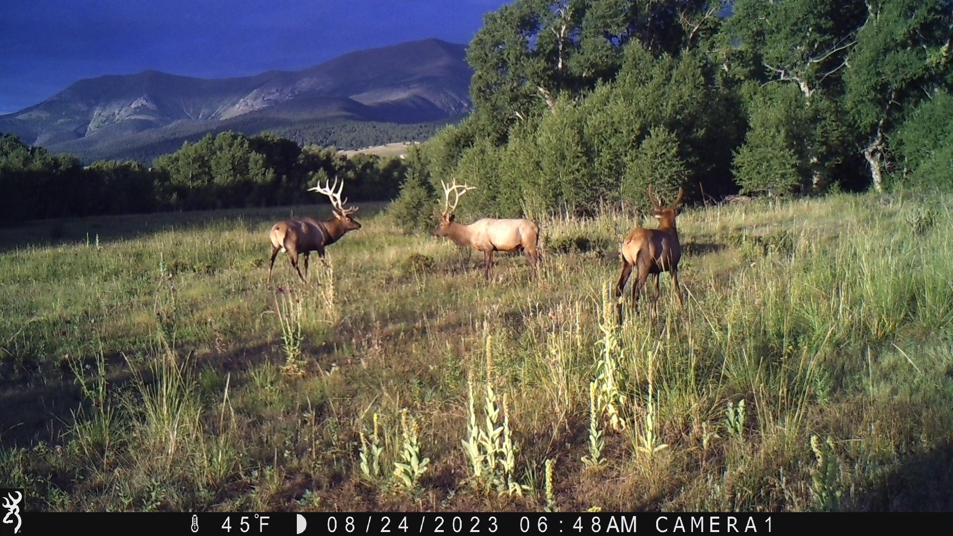 3870 County Road 125 Westcliffe CO 81252