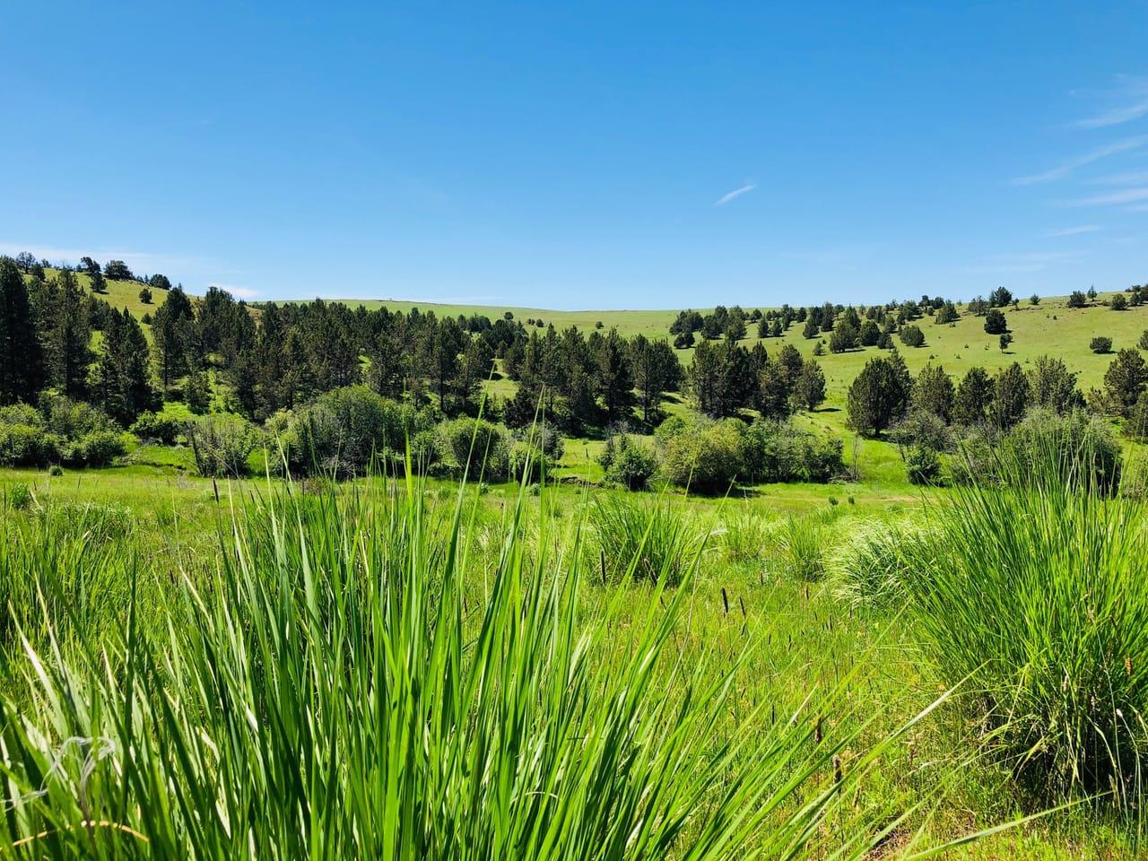 38932 Highway 395 N Long Creek  97856