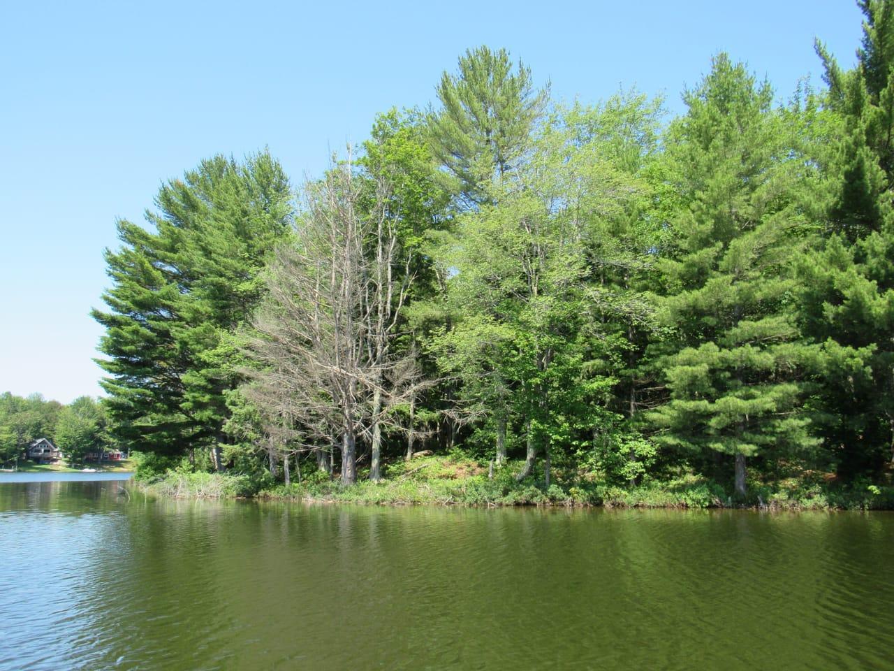 3974 N Hayward (Access to Angel Island) Road Munising MI 49862 Picture 15.