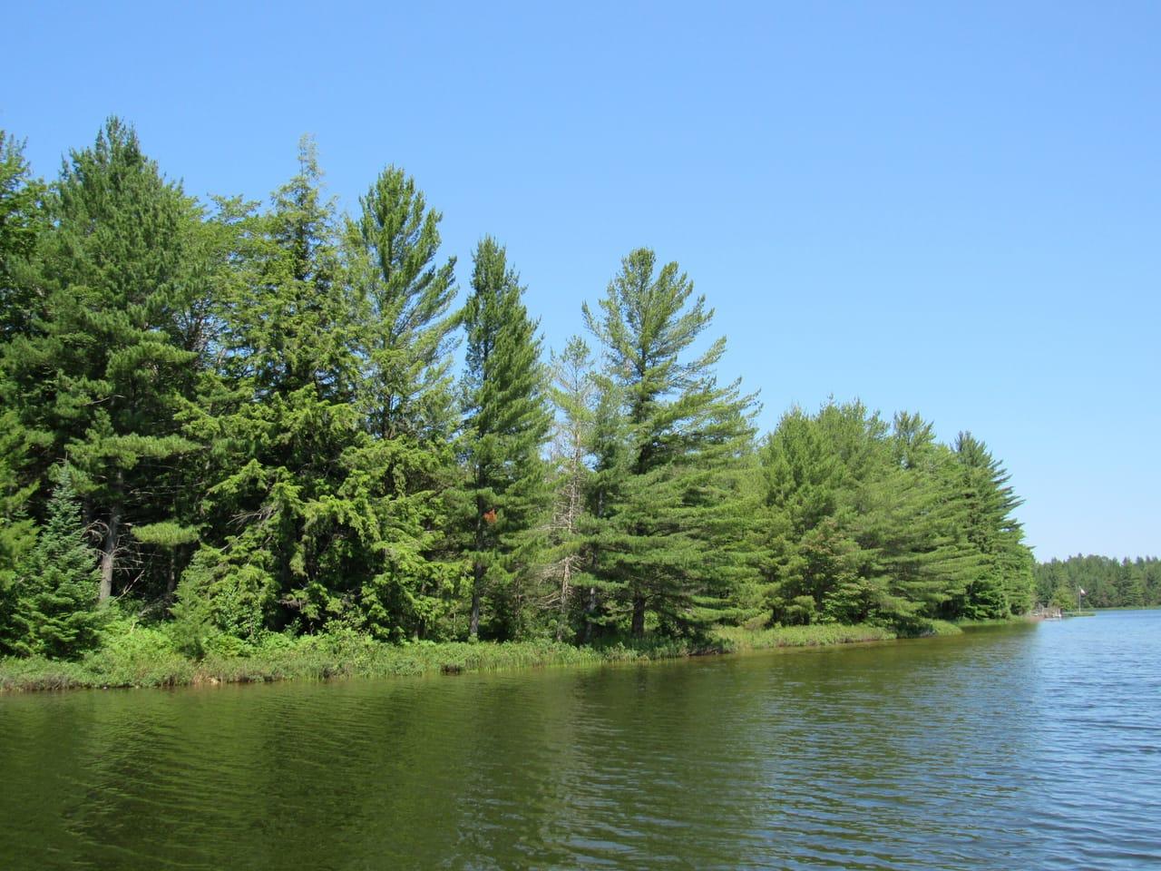 3974 N Hayward (Access to Angel Island) Road Munising MI 49862 Picture 17.