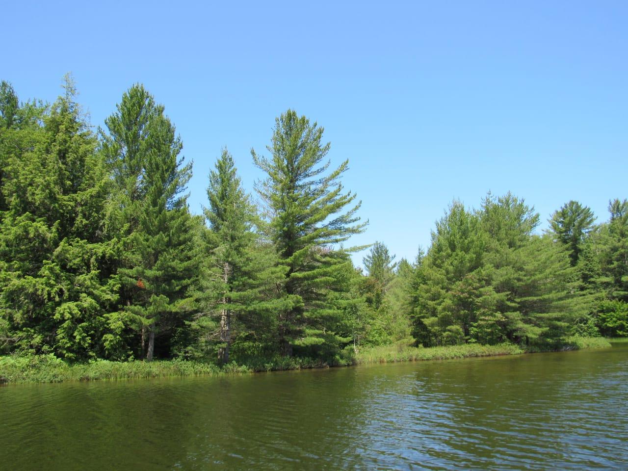 3974 N Hayward (Access to Angel Island) Road Munising MI 49862 Picture 18.