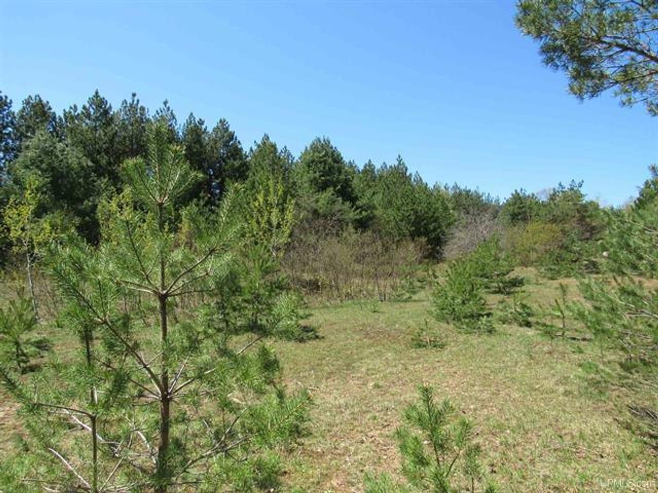 40 Acres Off Snowmobile Trail 133 Mohawk MI 49950