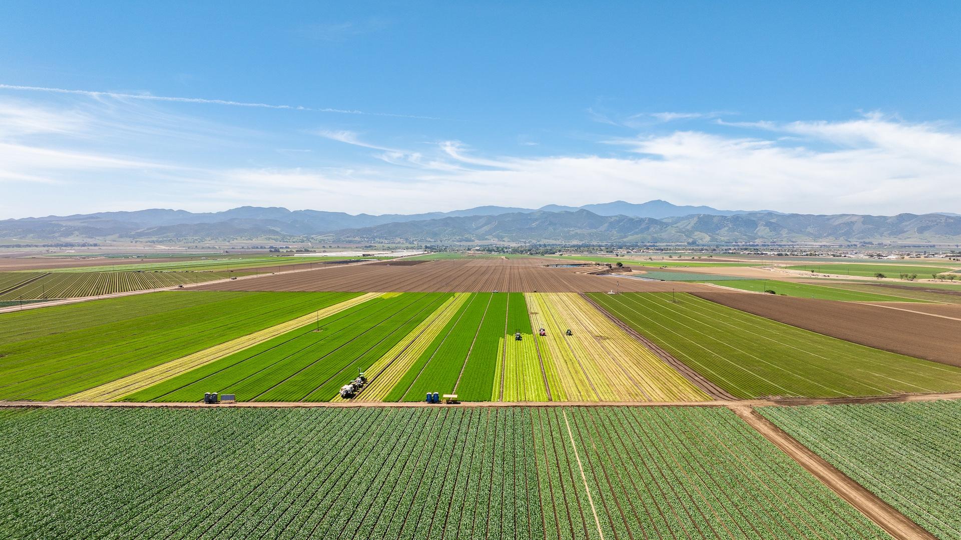 48453 Lonoak Road King City CA 93930