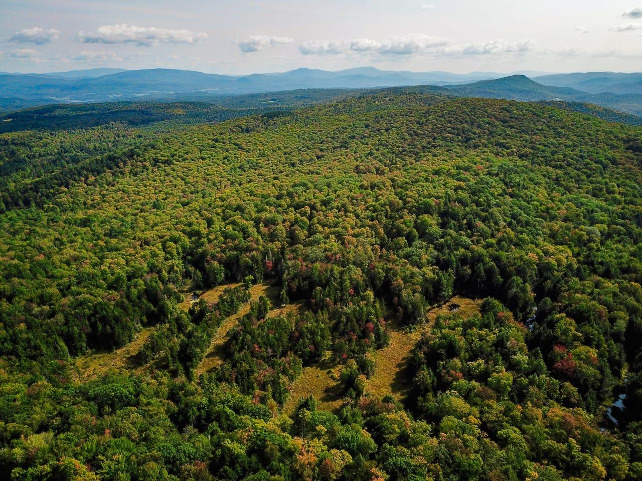 580 Forest Trail Newbury VT 05051