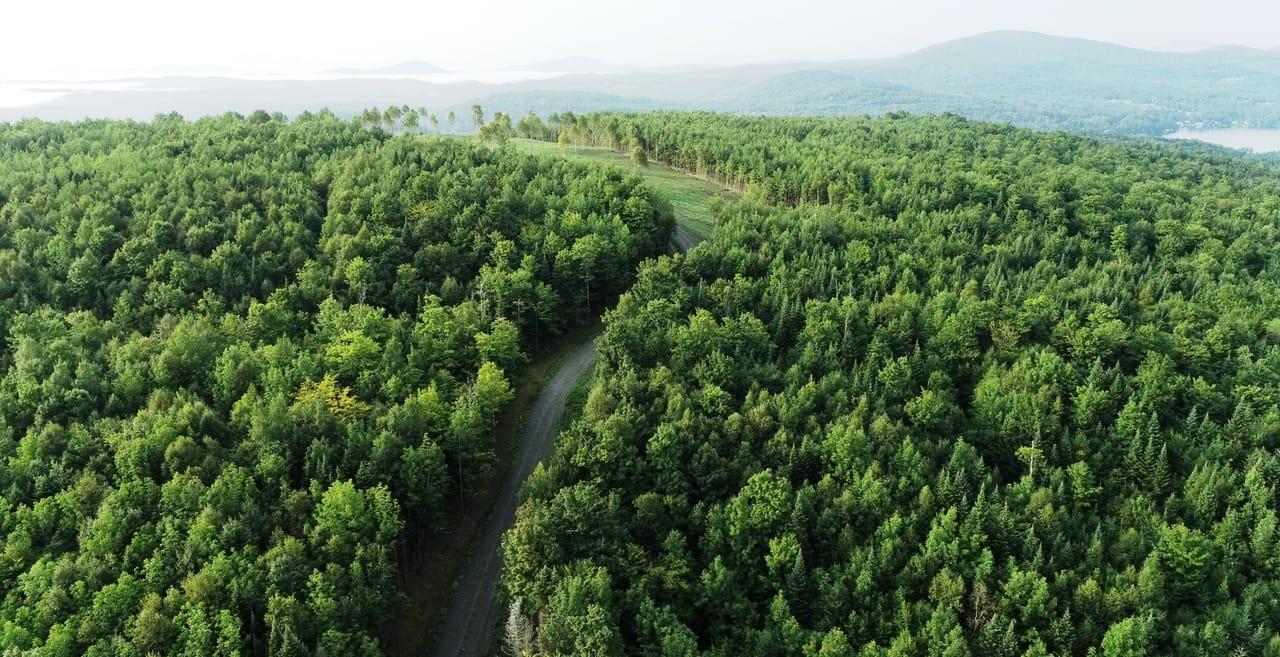 600 Davidson Drive Walden VT 05873