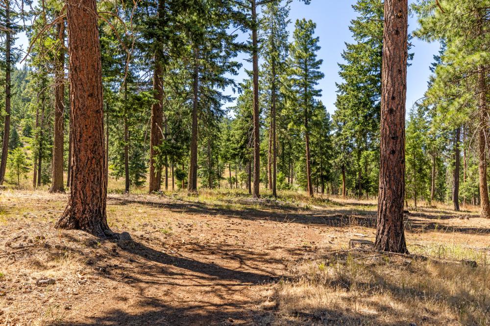 6570 Old Fort Road Klamath Falls OR 97601 Picture 53.