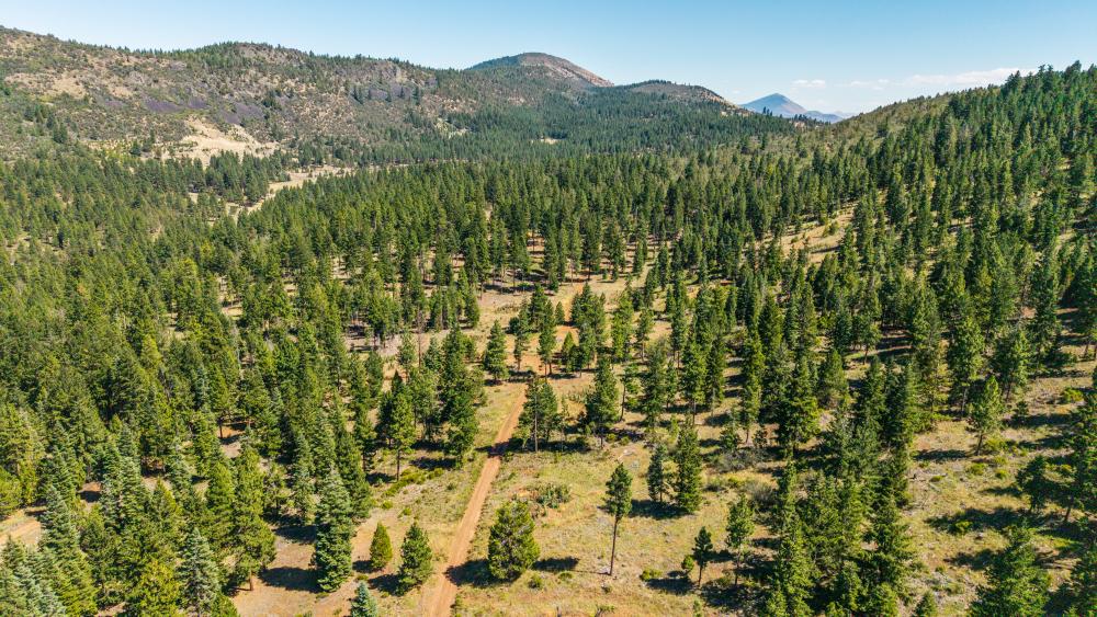6570 Old Fort Road Klamath Falls OR 97601 Picture 57.