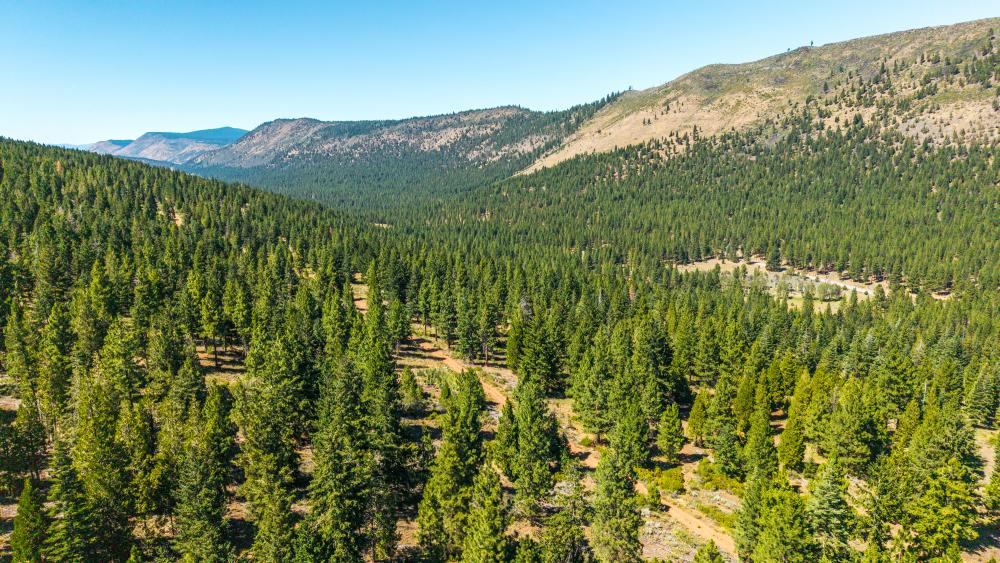 6570 Old Fort Road Klamath Falls OR 97601 Picture 58.