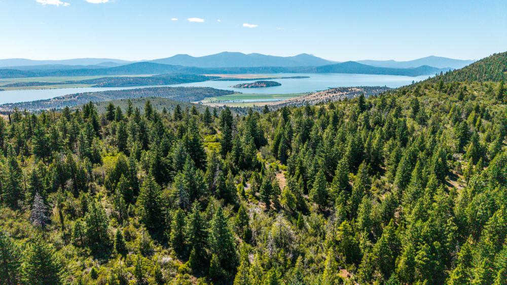 6570 Old Fort Road Klamath Falls OR 97601 Picture 61.