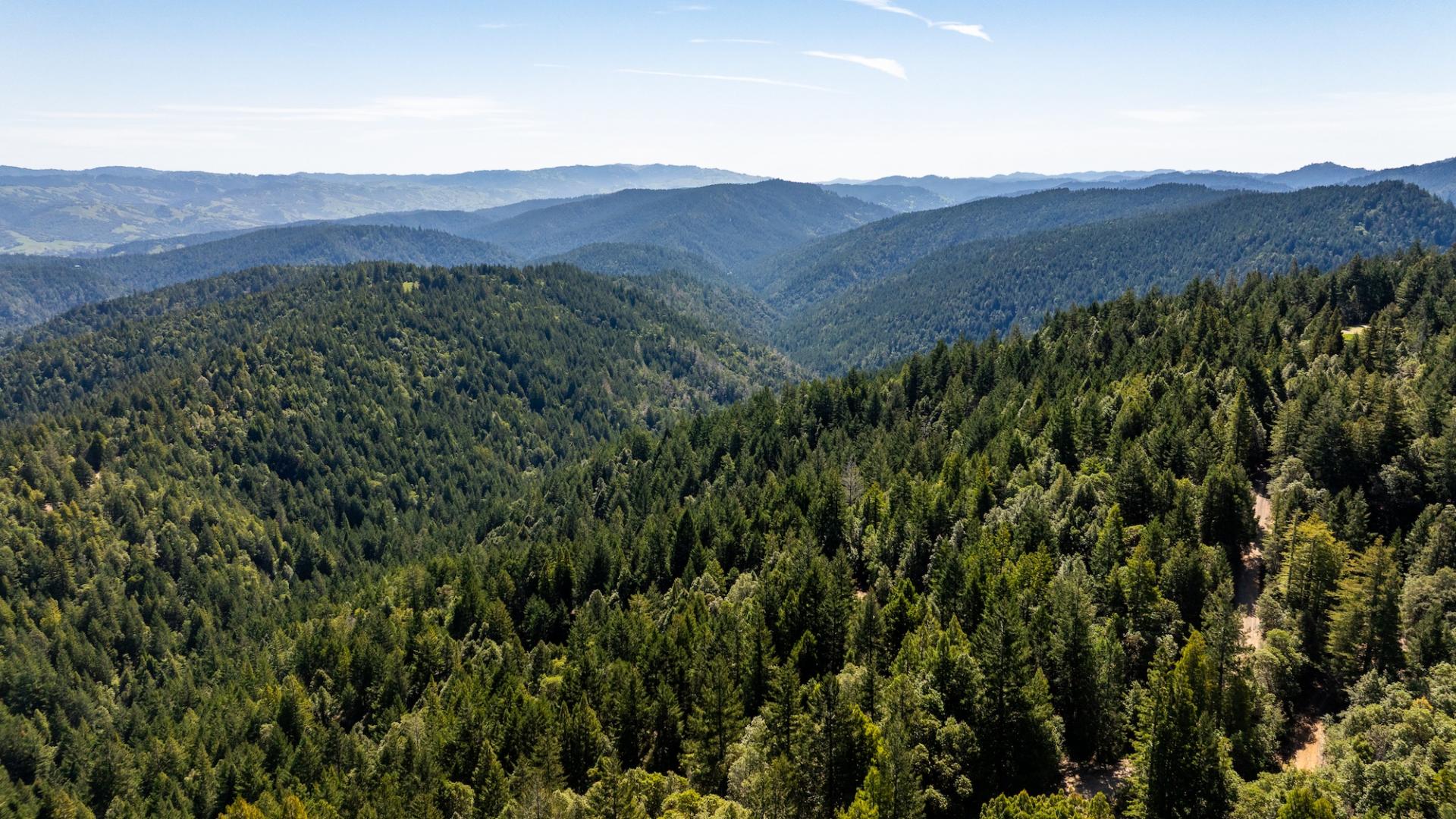 8555 Signal Ridge Road Philo CA 95466