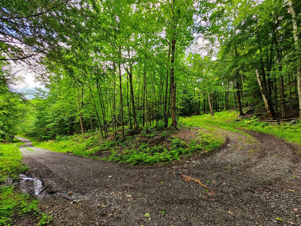 873 Roystan Ridge Newbury VT 05081