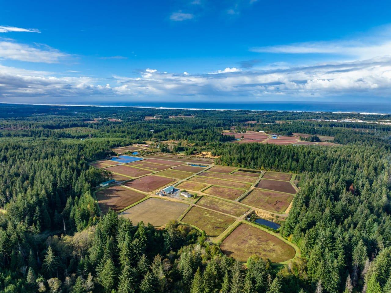88497 Circle Lane Bandon  97411