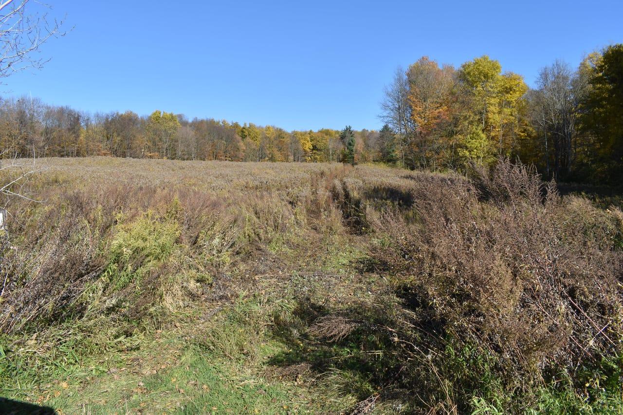 9131 Zahm Road Forestville NY 14062