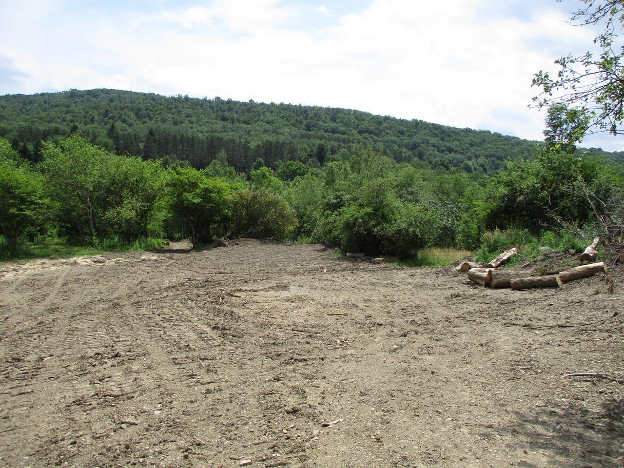 Bozard Hill Road Humphrey NY 14741