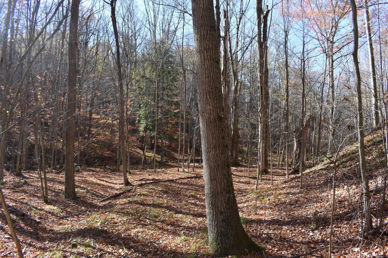 Coss Corners Road Bath NY 14810