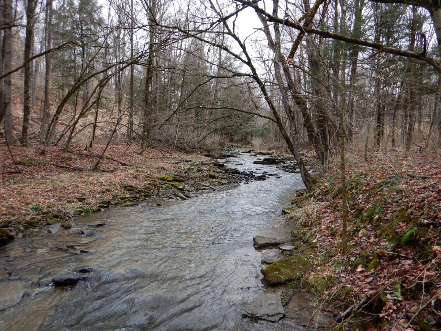 County Route 16 Angelica NY 14709