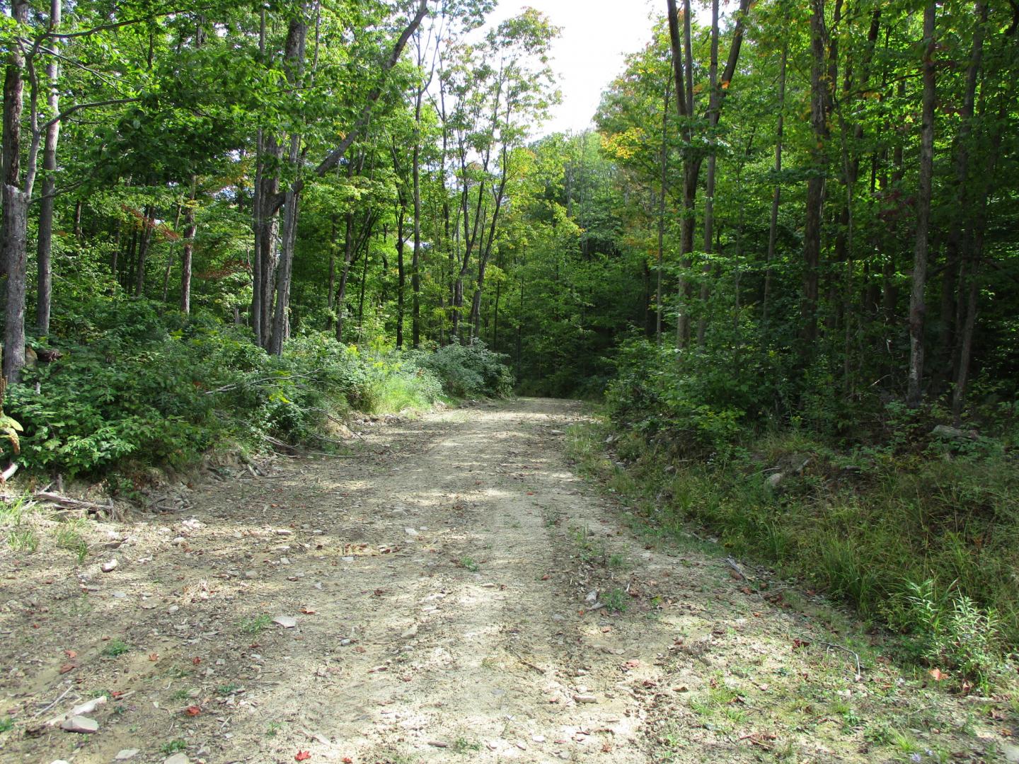 Dobson Road Almond NY 14804