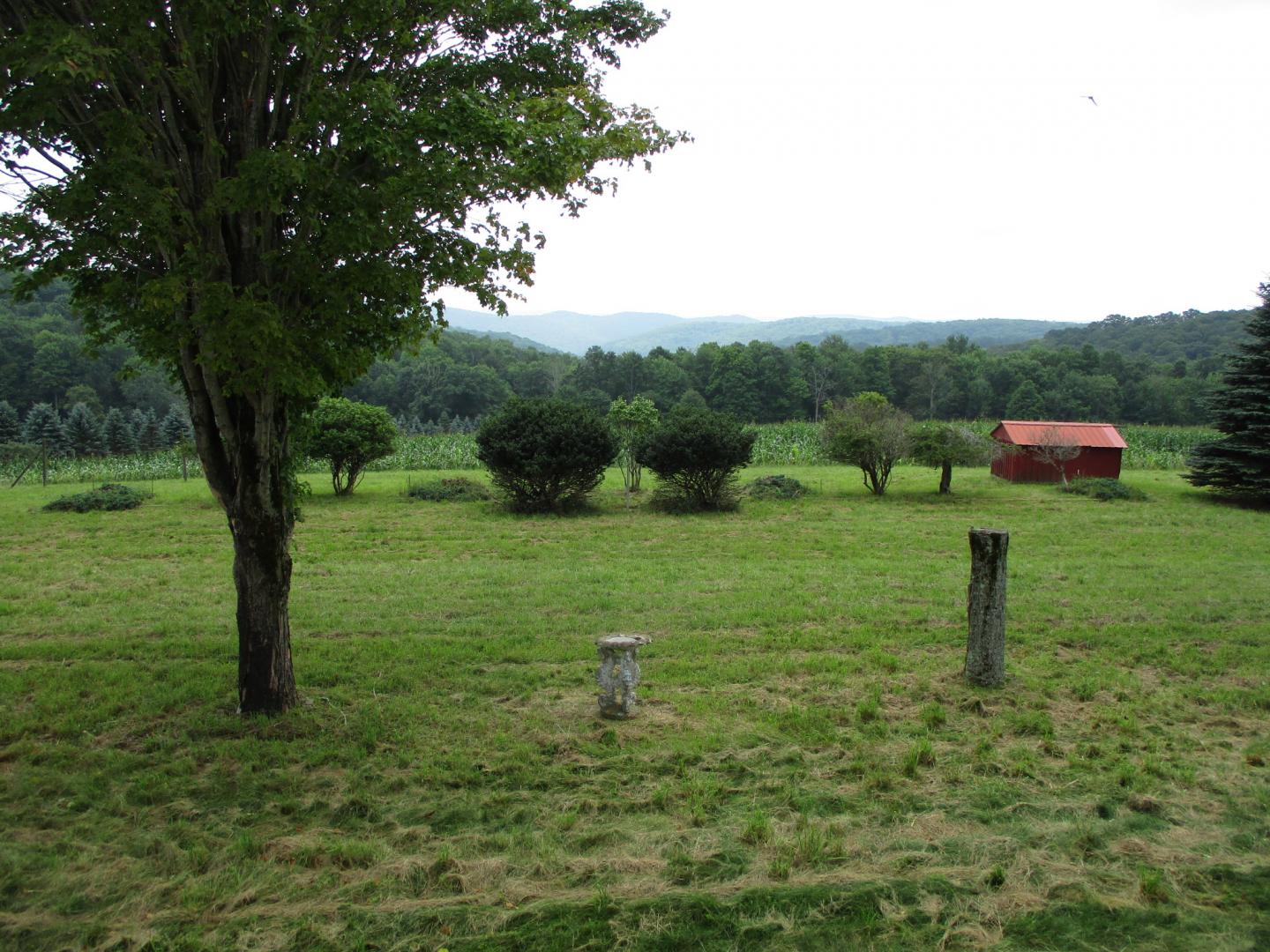 Dodge Hollow Road Shinglehouse PA 16748