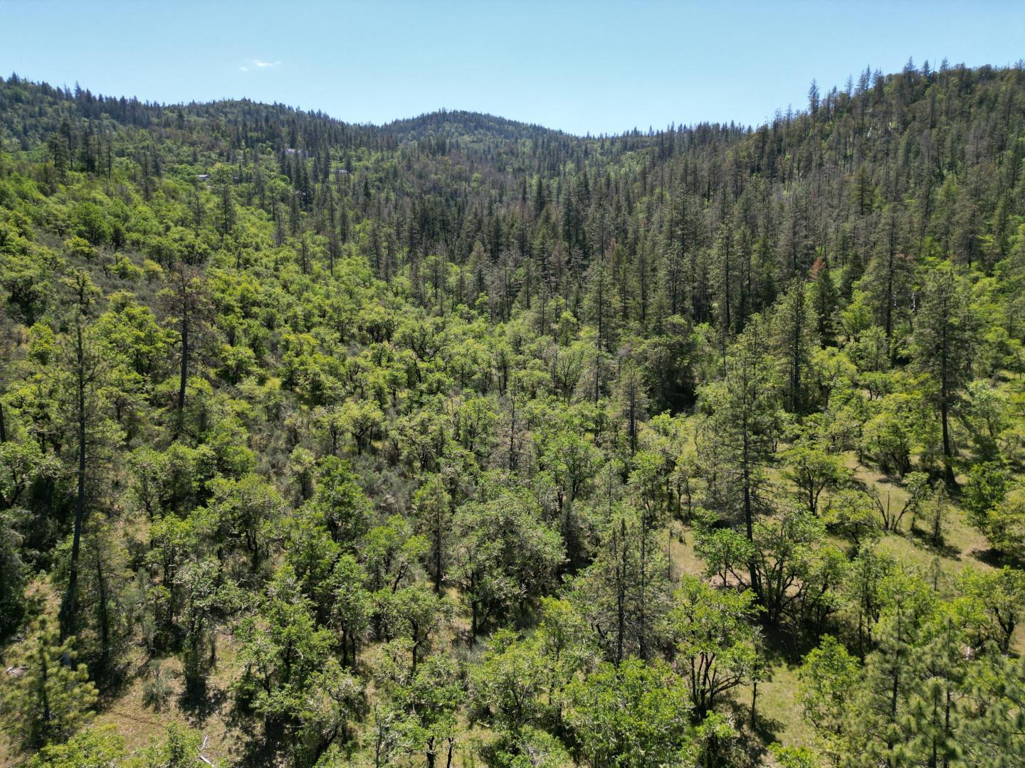 E Antelope Rd Eagle Point  97524