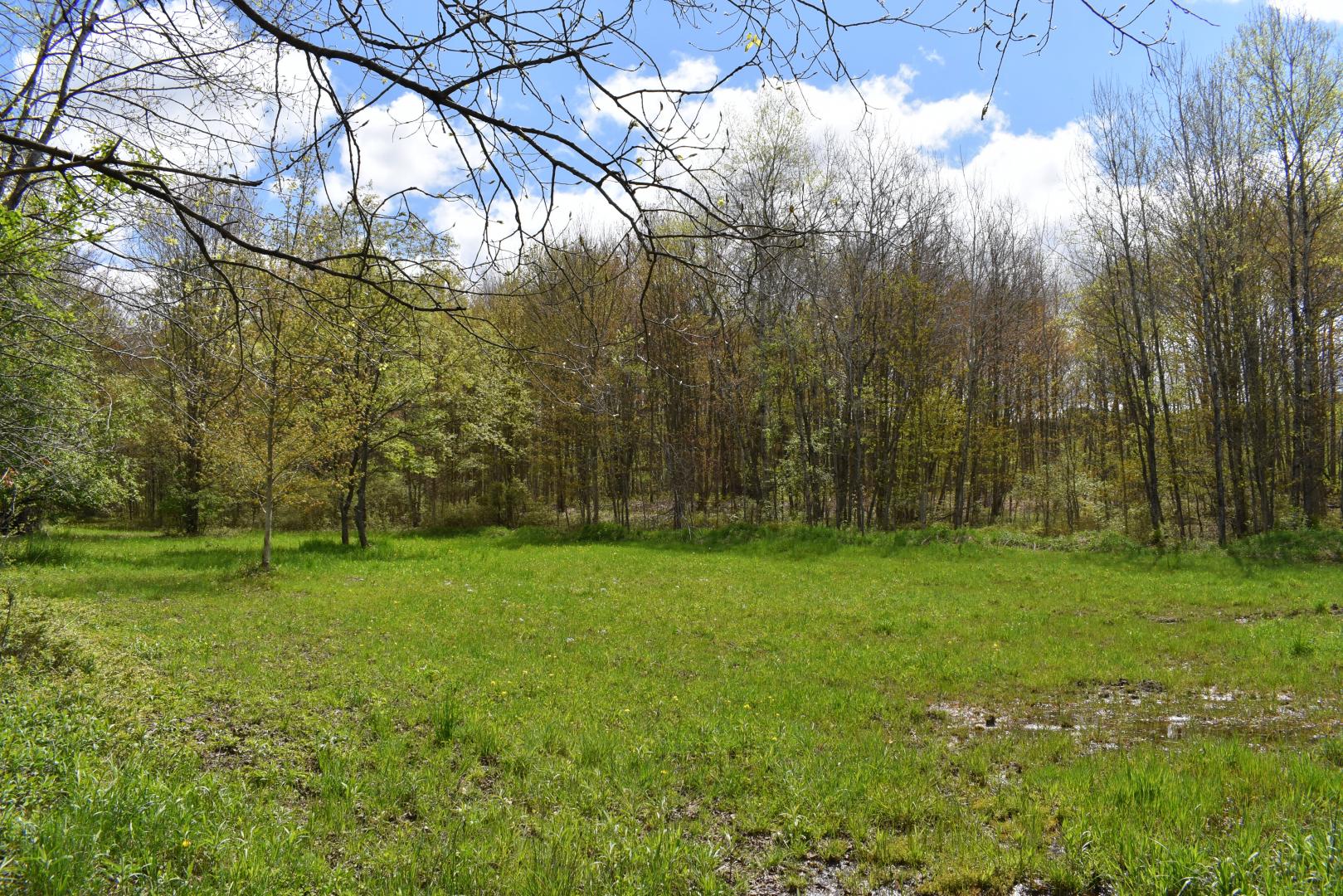 Earl Seaton Road Randolph NY 14772