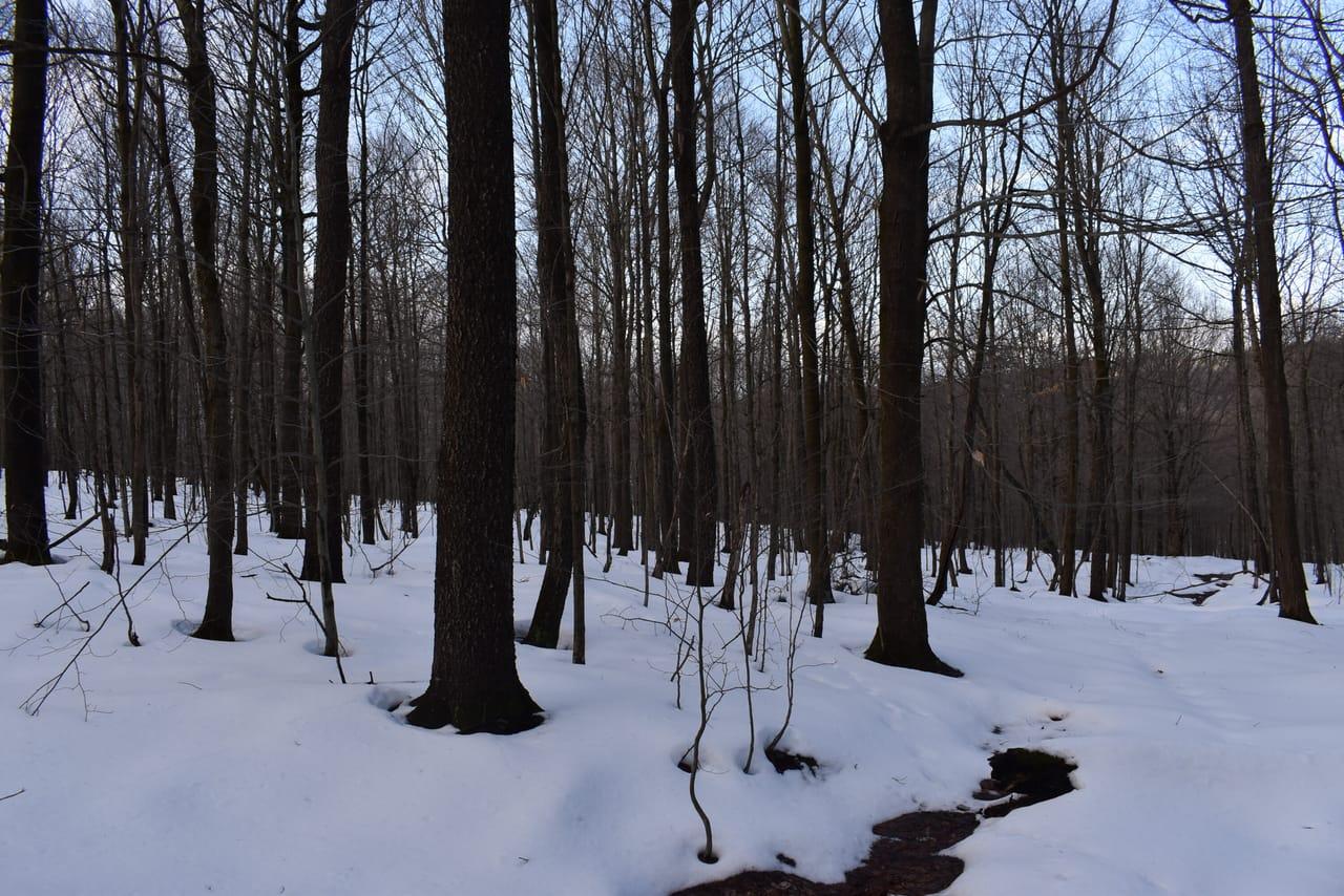 Edson and Harris Hill Road Gerry NY 14740