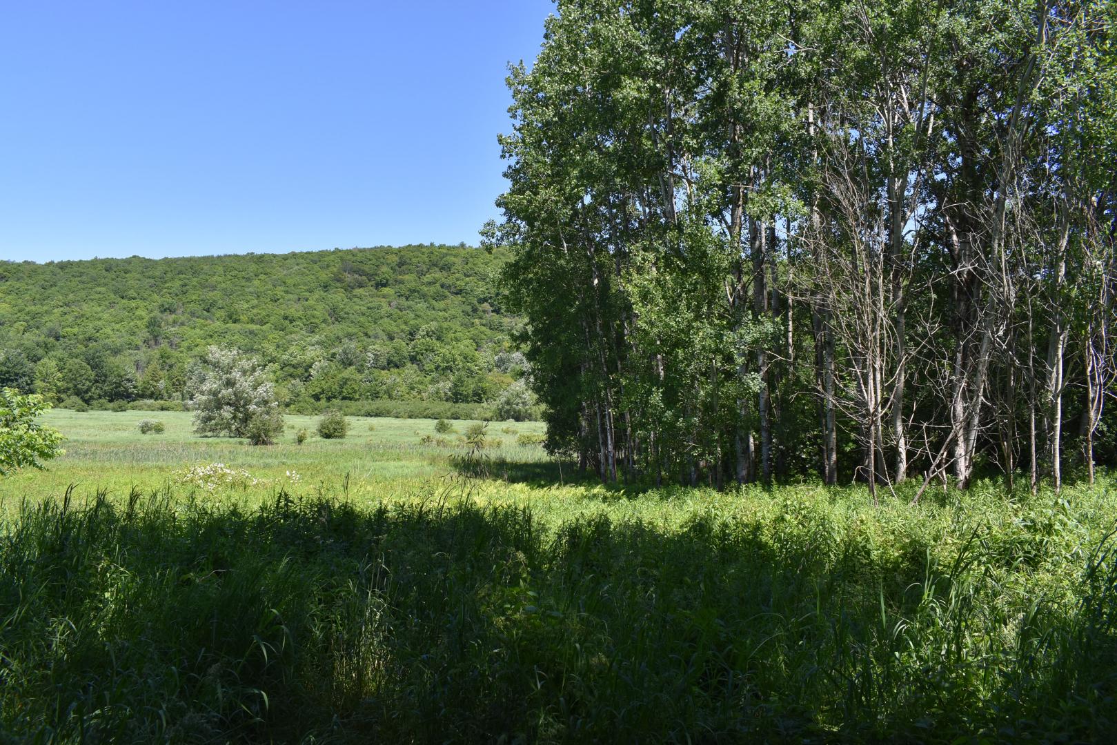 Farrington Hollow Cherry Creek NY 14723