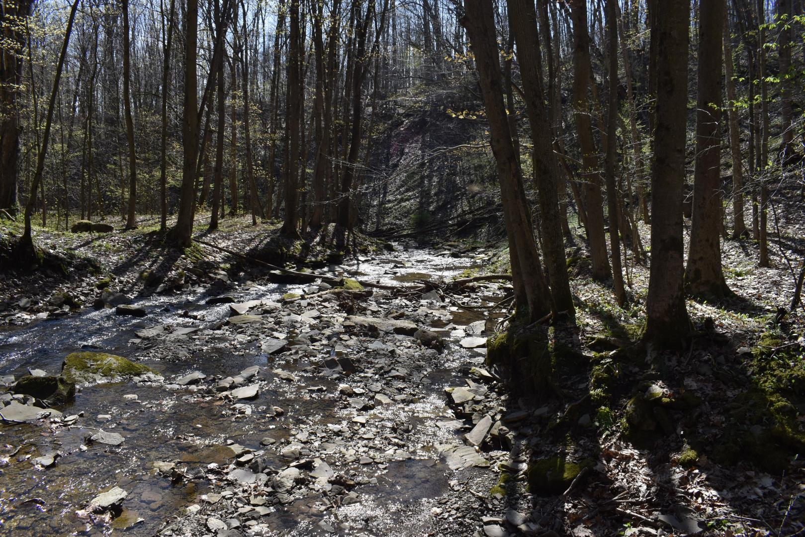 Fuller Gulf Road Cherry Creek NY 14723