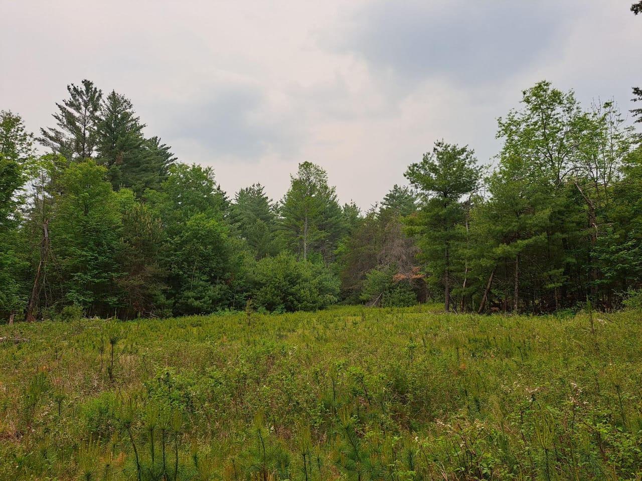 Hardy Road Wilmington NY 12997