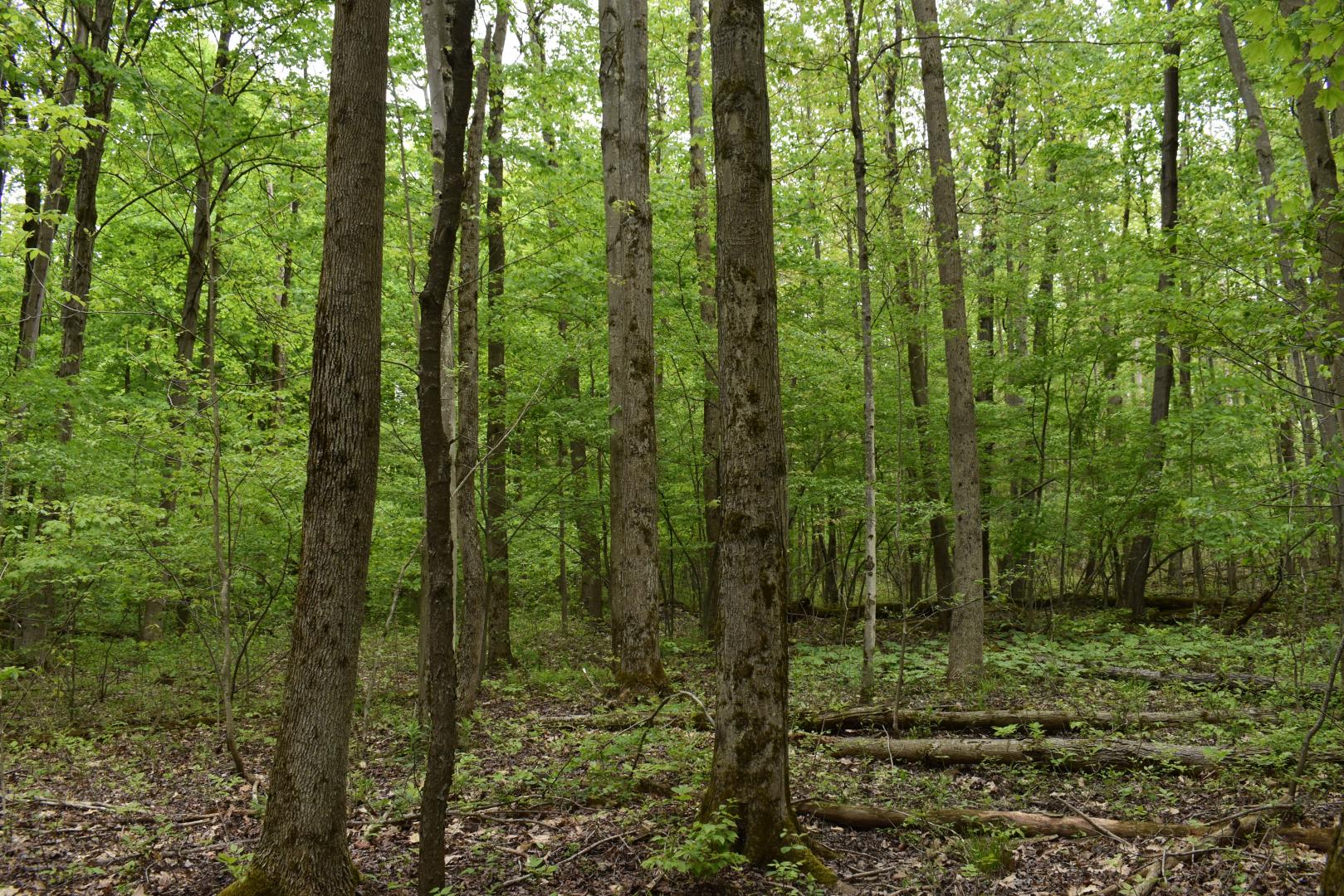 Harris Hollow Road Gerry NY 14740