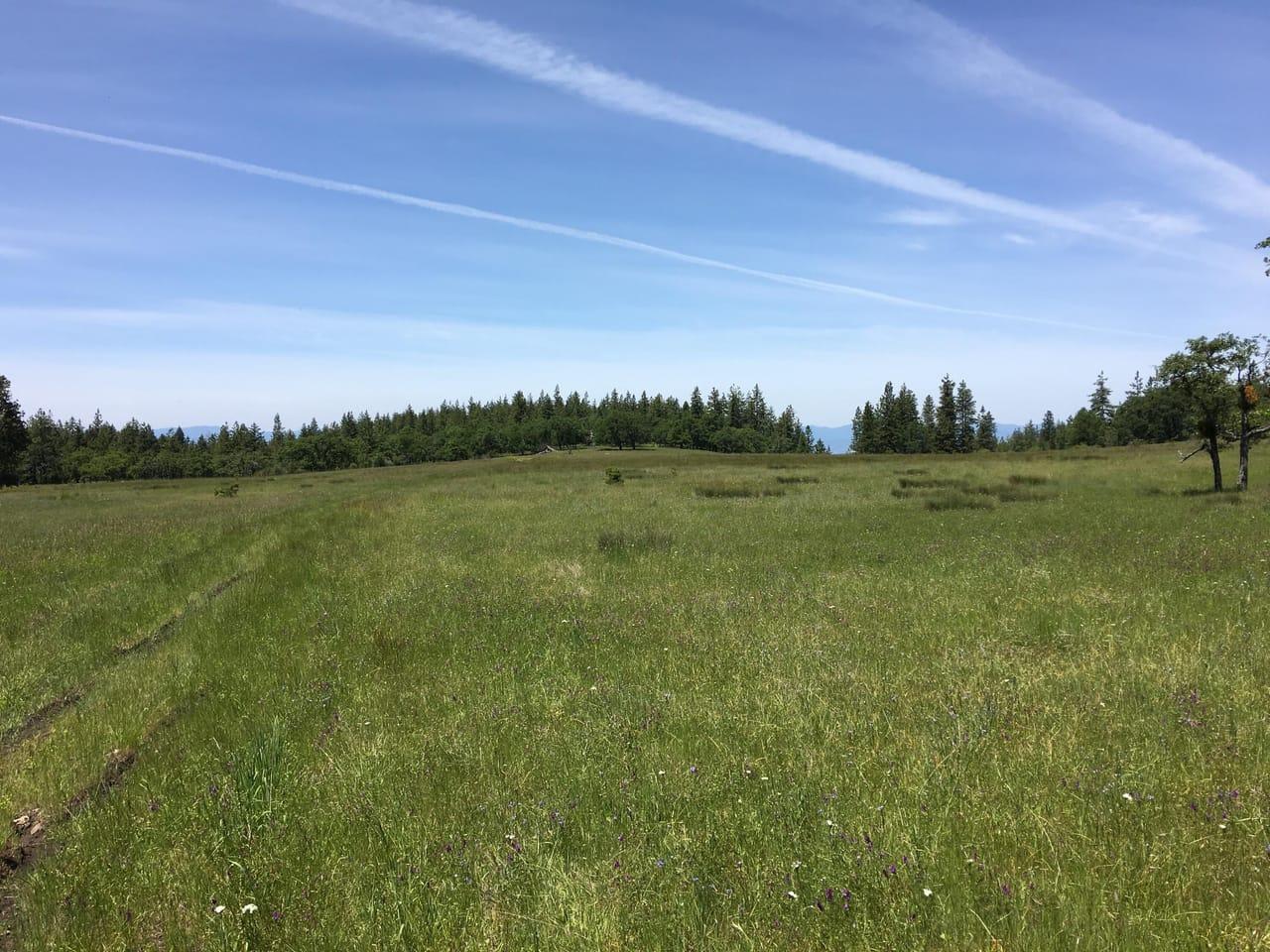 Hillcrest Road Medford OR 97504