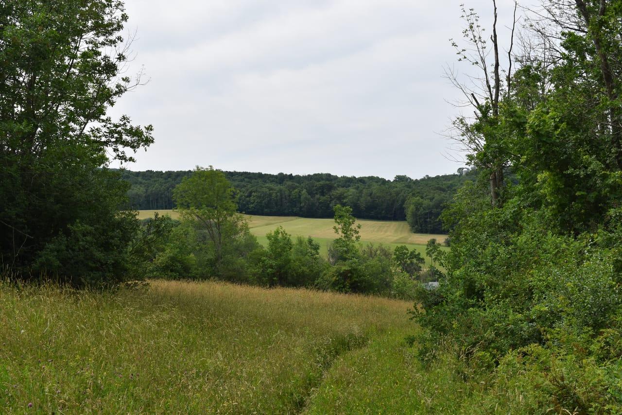 Jackson Hill Road Cuba  14727