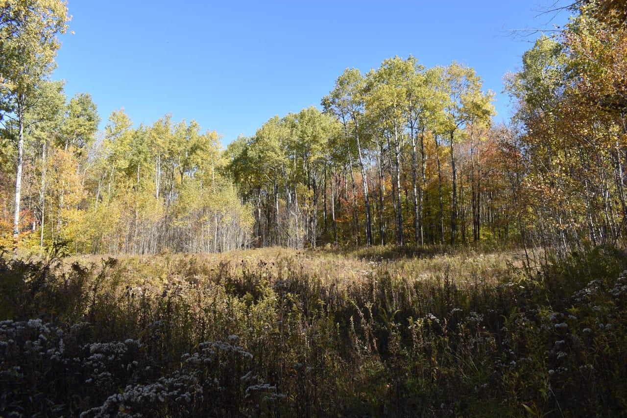 Kinney Road Genesee  16923