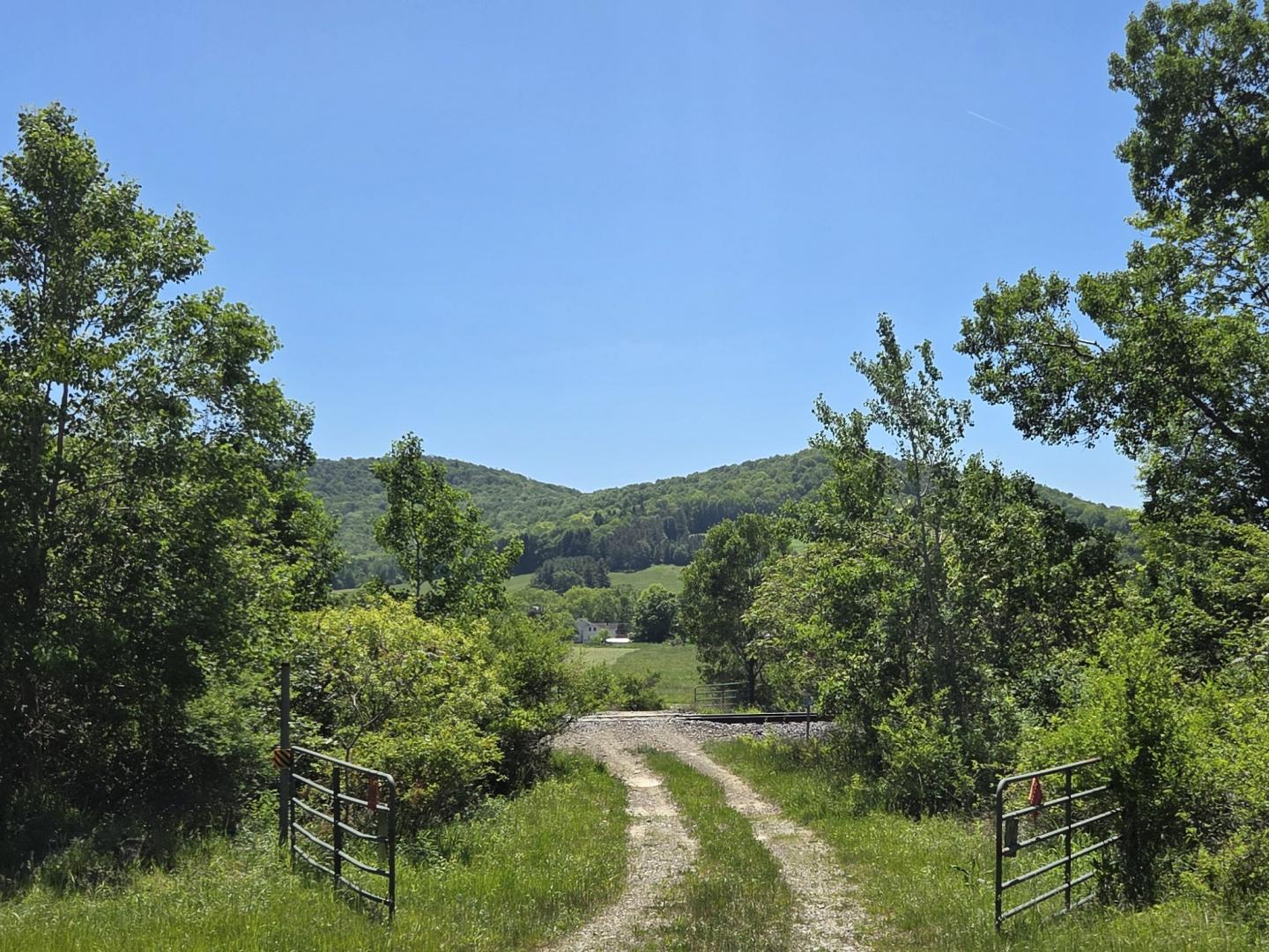 Lillibridge Road Olean NY 14760