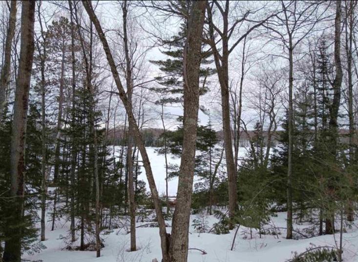 Lot 1 County Line Lake Crossroad Watersmeet MI 49969 Picture 5.