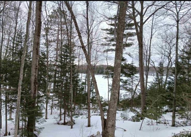 Lot 1 County Line Lake Crossroad Watersmeet MI 49969 Picture 6.