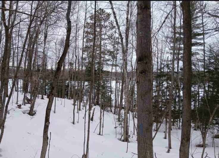 Lot 1 County Line Lake Crossroad Watersmeet MI 49969 Picture 7.