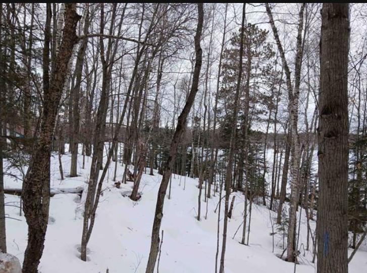 Lot 1 County Line Lake Crossroad Watersmeet MI 49969 Picture 8.