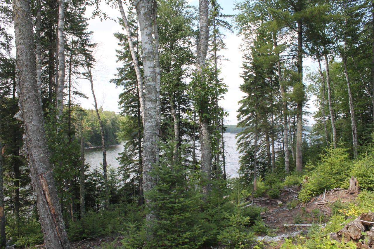 Lot 43C E. Fence Lake Rd Michigamme MI 49861