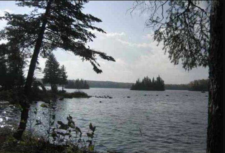 Lot 7 Fence Lake Road Michigamme MI 49861