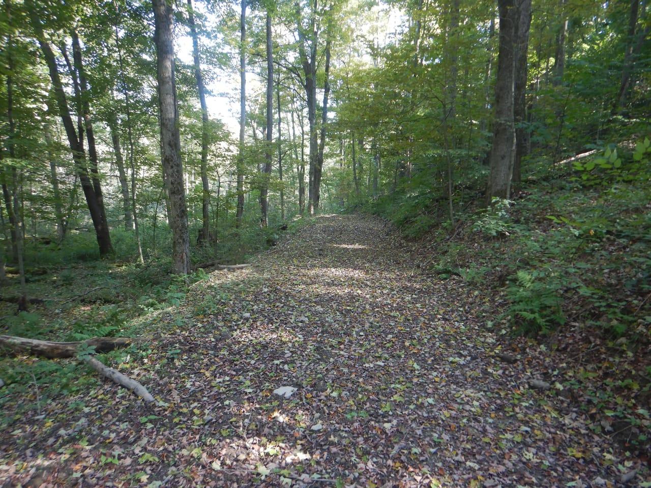 Matson Road Richford  13835